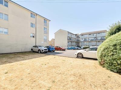 Picture 20